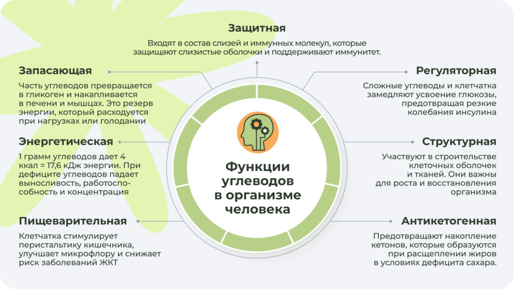 Углеводы обеспечивают энергией мозг и мышцы, поддерживают концентрацию, настроение и физическую выносливость Основные функции углеводов в организме человека