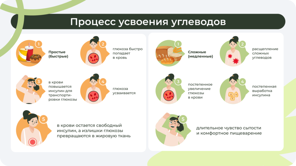 сложные углеводы усваиваются медленно, дают устойчивую энергию; простые — быстро, вызывают резкий скачок сахара в крови и перепады настроения Сравнение усвоения сложных и простых углеводов