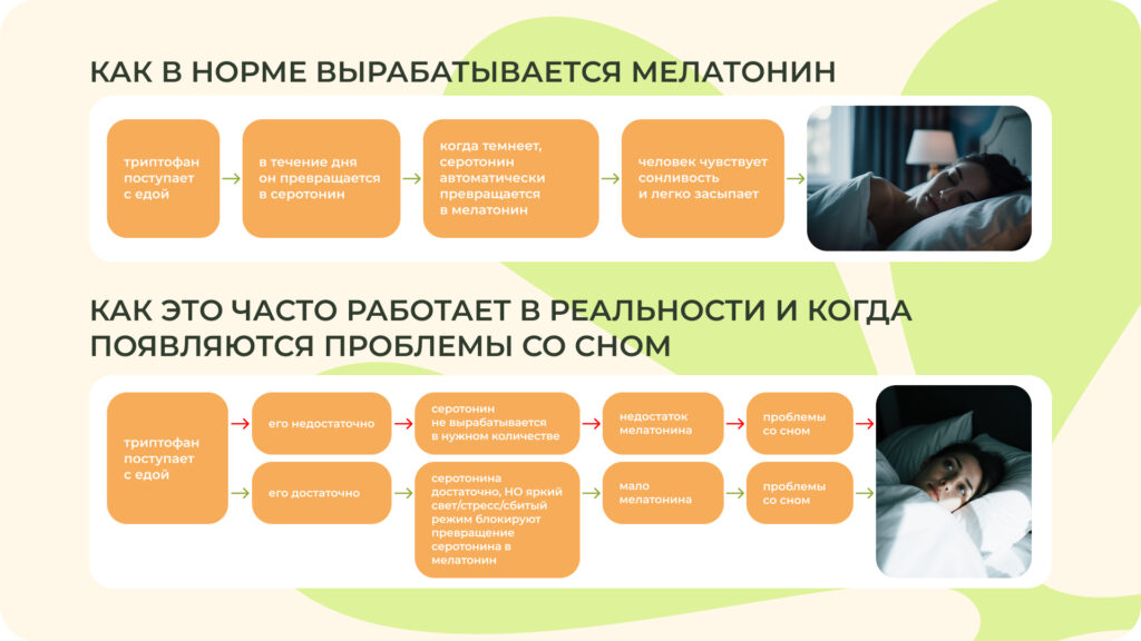 Стресс, нарушение режима и несбалансированное питание напрямую влияют на синтез мелатонина Синтез мелатонина в норме и в период сбоев