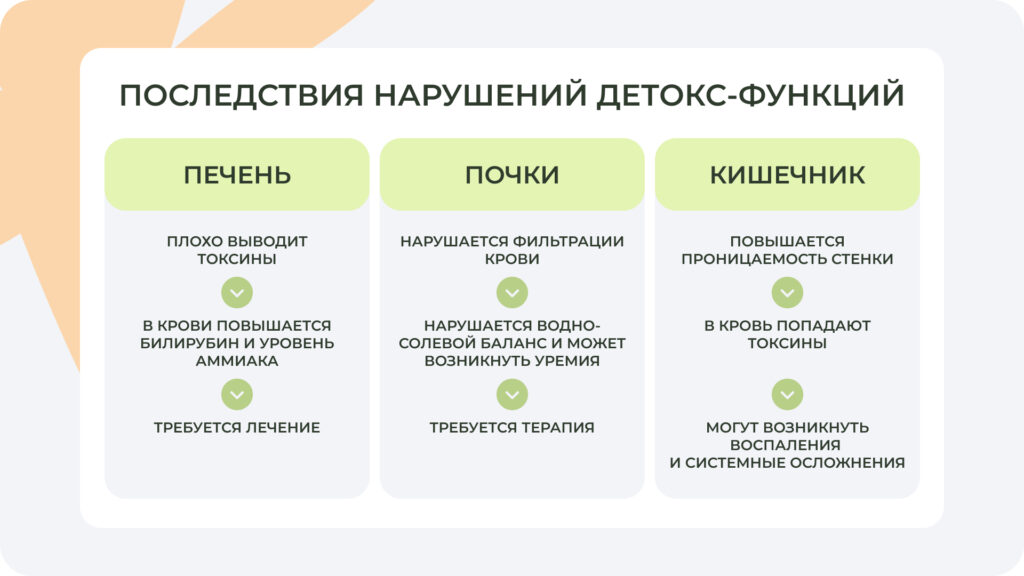 Недостаток белков, витаминов и микроэлементов снижает синтез ферментов печени и работу антиоксидантной системы, которая защищает клетки от повреждения токсинами. Схема последствий нарушения детокс-функции