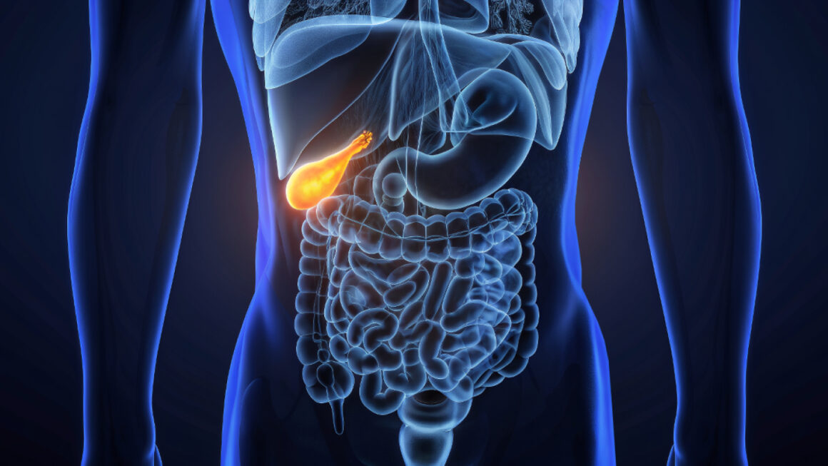 Застой желчи: как распознать проблему и помочь себе с помощью питания и образа жизни