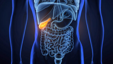 Застой желчи: как распознать проблему и помочь себе с помощью питания и образа жизни