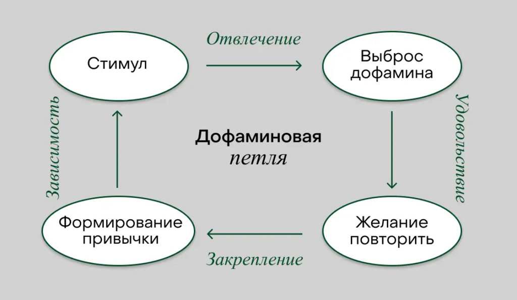 Когда подростки едят и смотрят видео одновременно, запускается дофаминовая ловушка: мозг видит еду на экране (стимул) → выбрасывается дофамин → появляется удовольствие → возникает желание повторить это снова