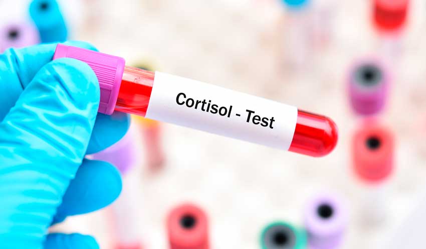 Как снизить кортизол в организме