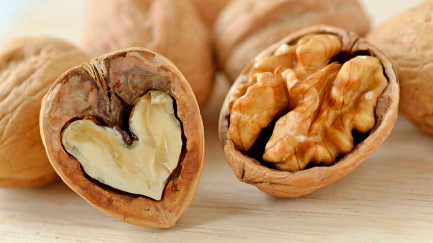 Полезные свойства грецких орехов для здоровья мозга